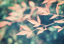 英國修訂玩具法規